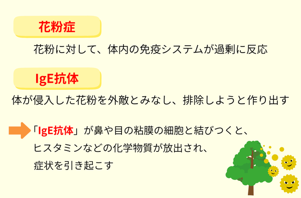 花粉症の正体