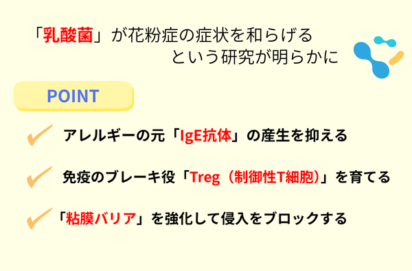 乳酸菌と花粉症